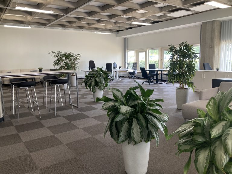 Spacious open-plan office with plants, high tables and workstations