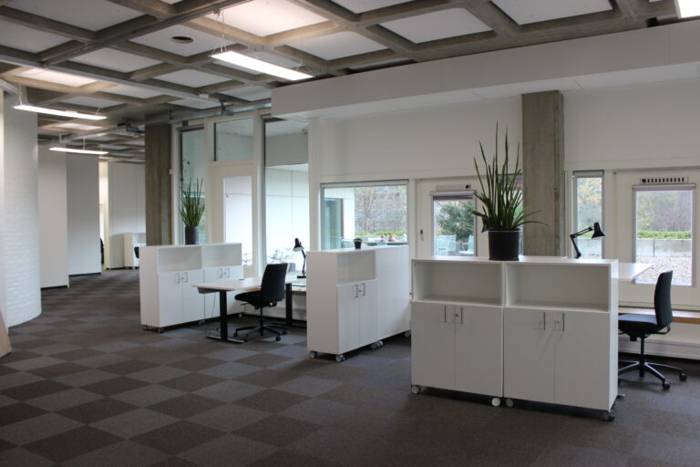 Spacious open-plan office with workstations, shelving and plants